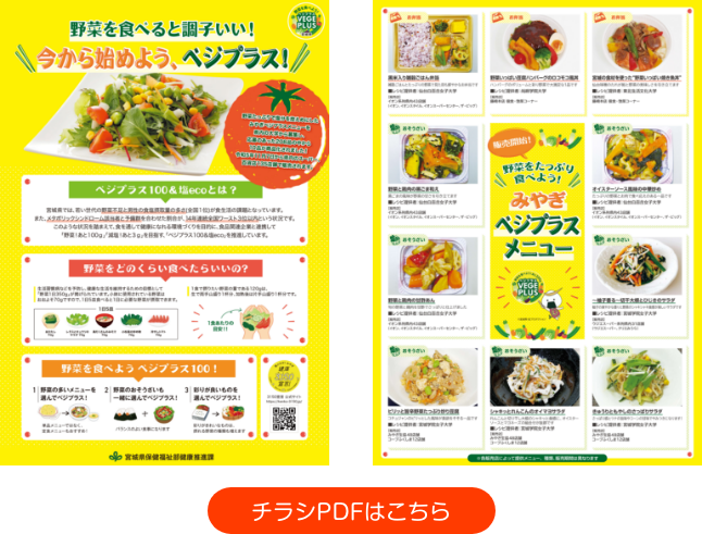 チラシPDFはこちら